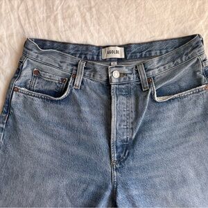 Agolde Low Slung Baggy Jean in color Libertine